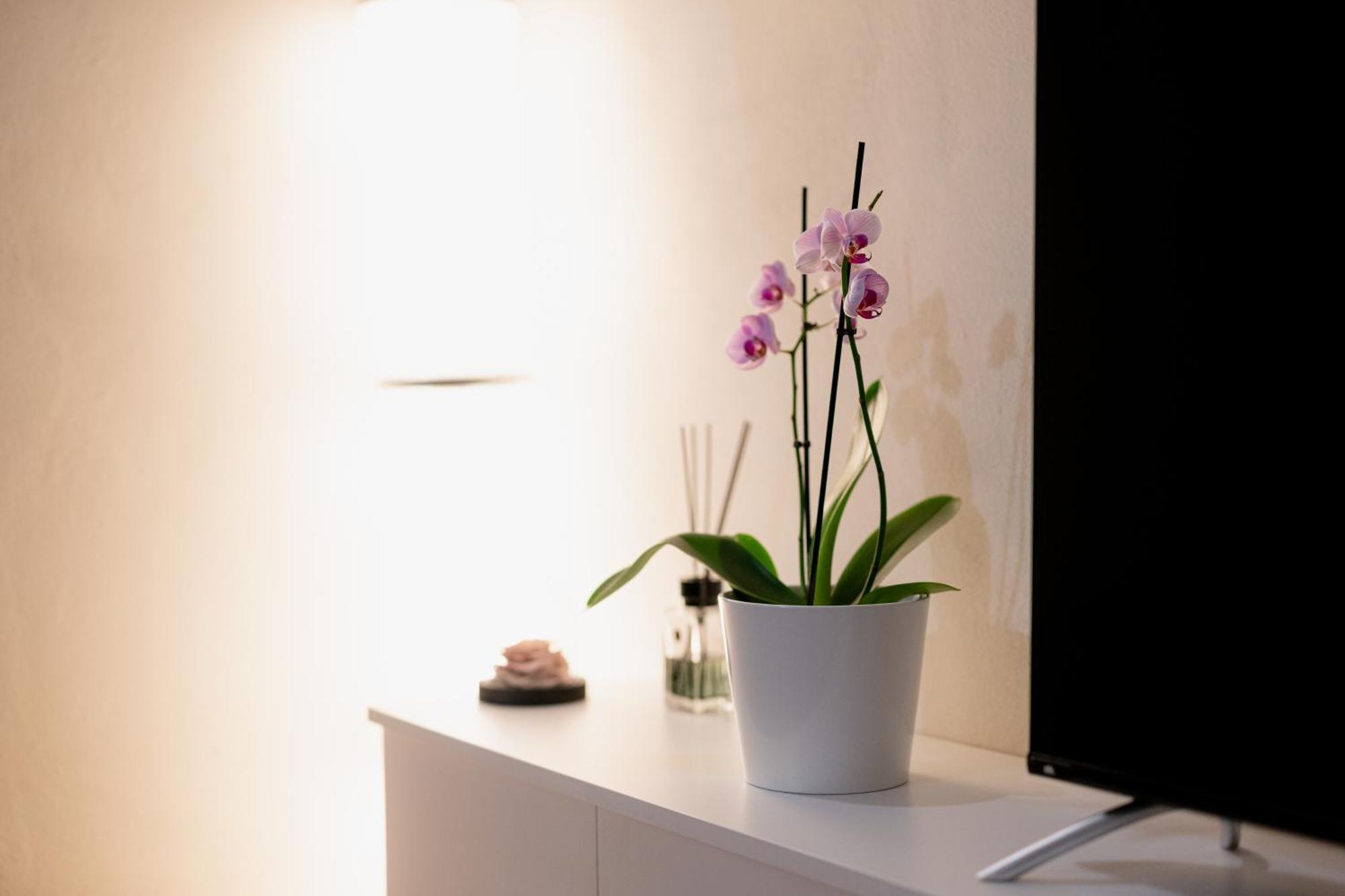 Apartament La Casa Di Cristina Lukka Zewnętrze zdjęcie
